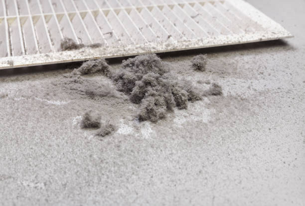 Best Air Duct Mold Removal  in Markham, IL