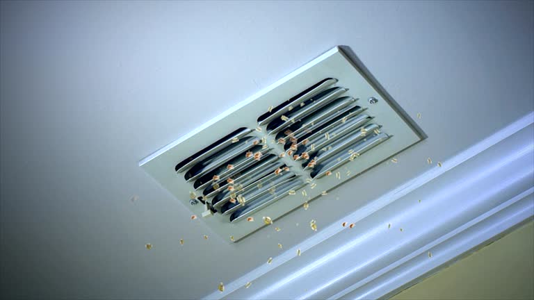 Best Ventilation Cleaning Services  in Markham, IL